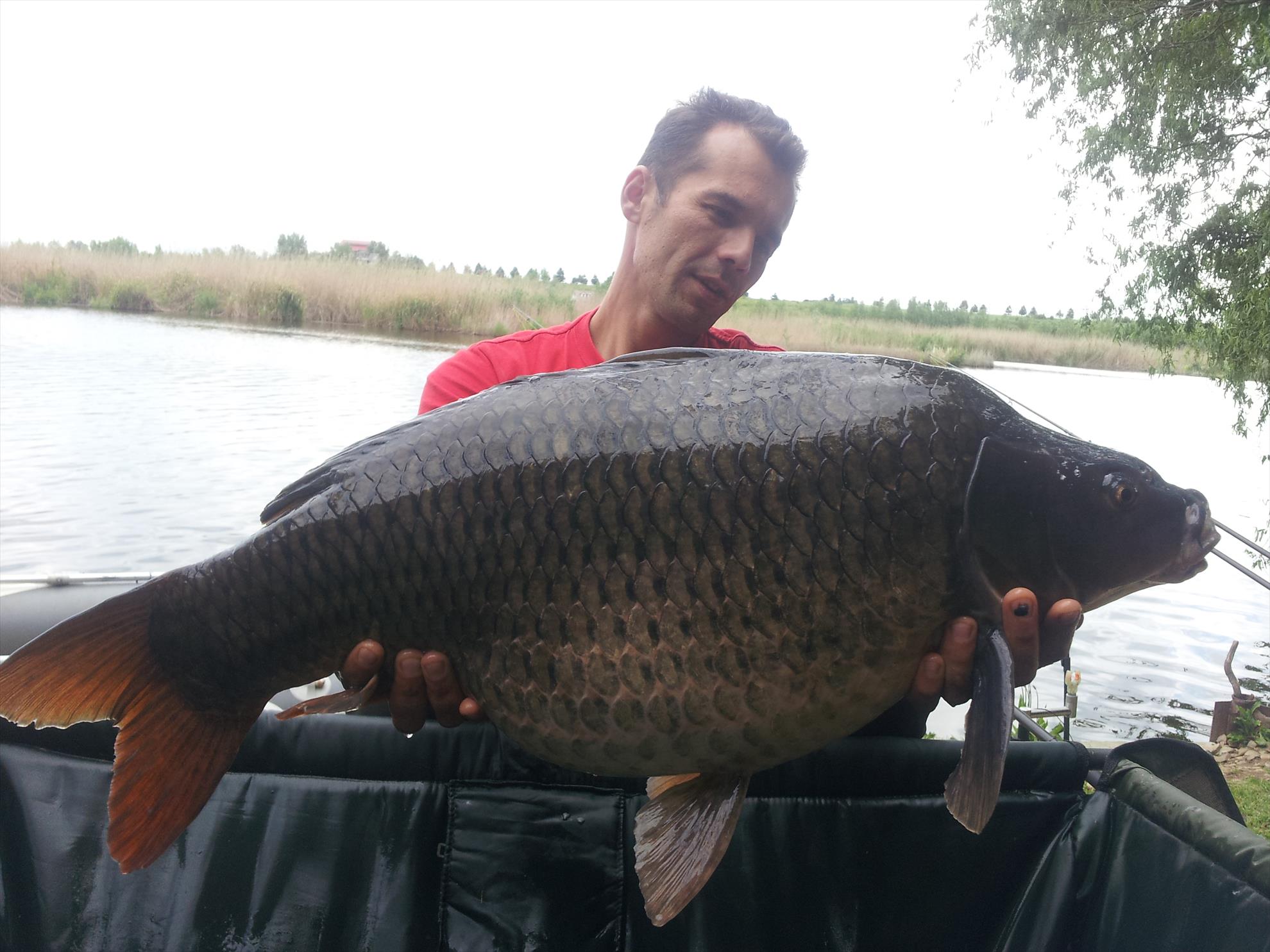 Tancabesti 1 - 4 iunie 2014 - 20150506153234.jpg